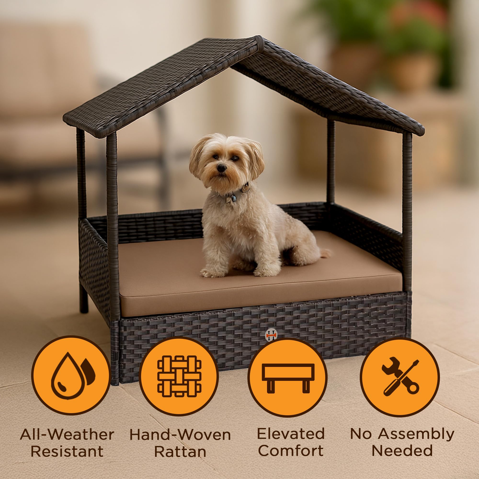Huntley Pet Rattan Wicker Indoor Outdoor Cabana Raised Pet Bed With Canopy, Weather Proof Cushion Cover